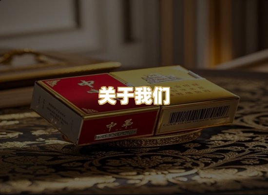 关于我们
